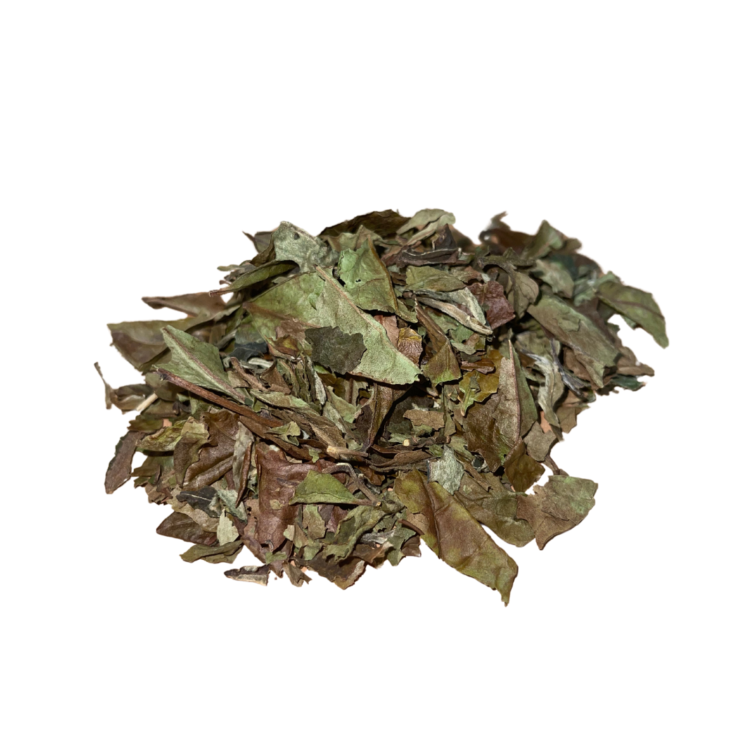 Pai Mutan White Tea